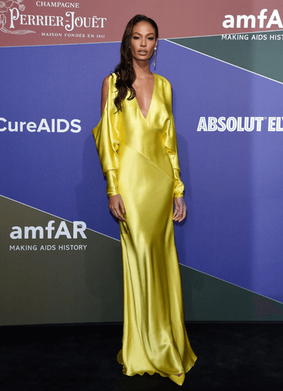 JOAN SMALLS IN CONG TRI